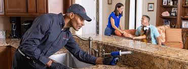 Reliable Georgetown, IL Pest control Solutions